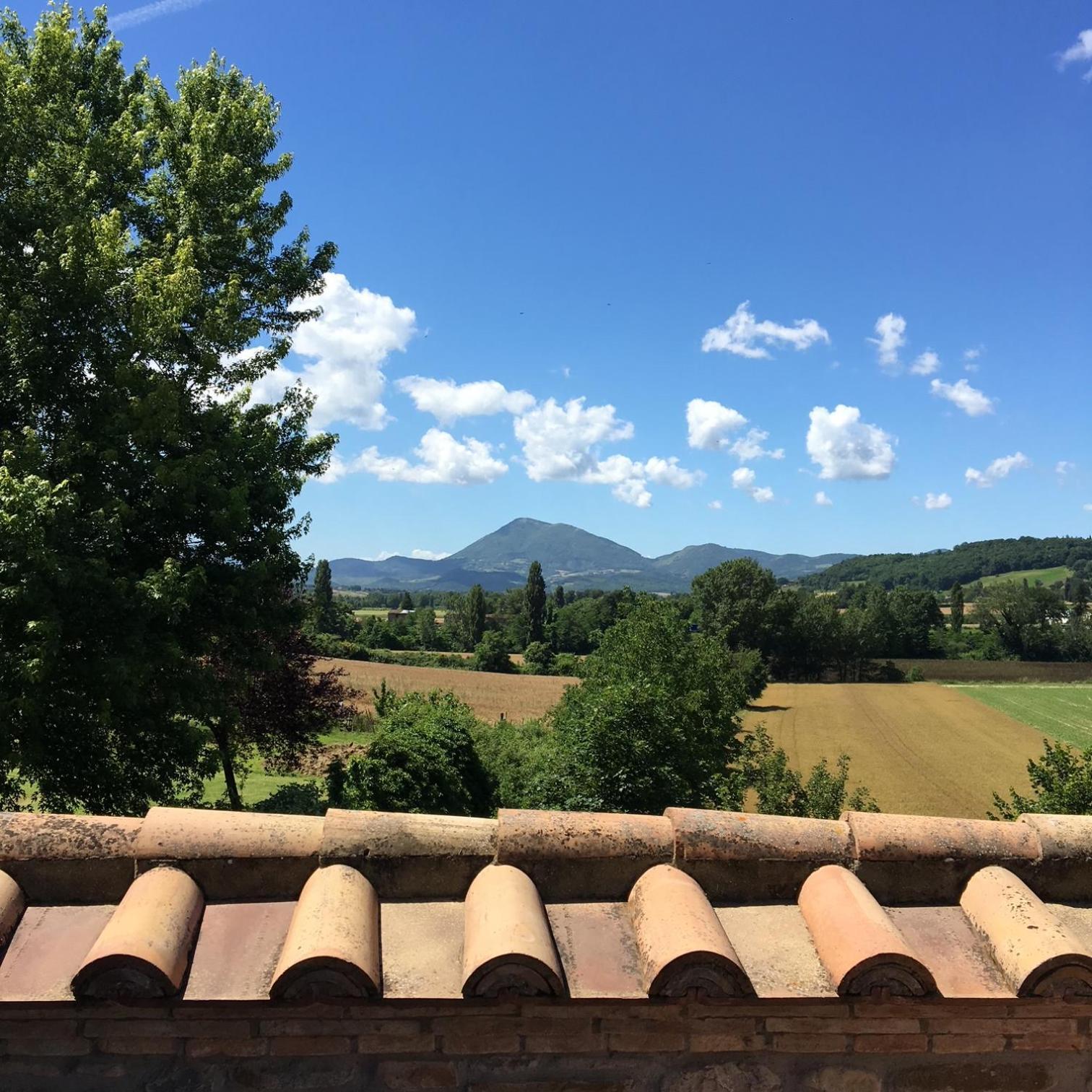 Agricola Caicucci Villa Montone  Luaran gambar