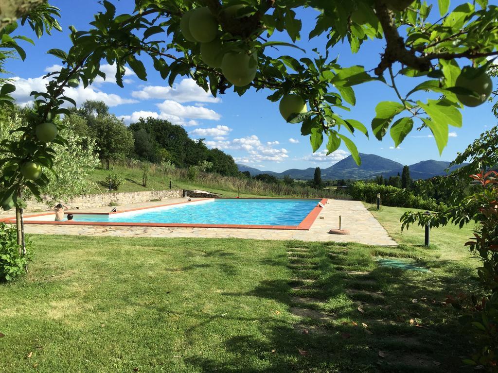 Agricola Caicucci Villa Montone  Bilik gambar