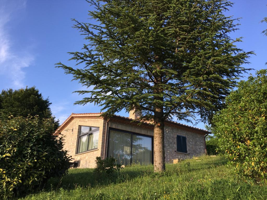 Agricola Caicucci Villa Montone  Bilik gambar