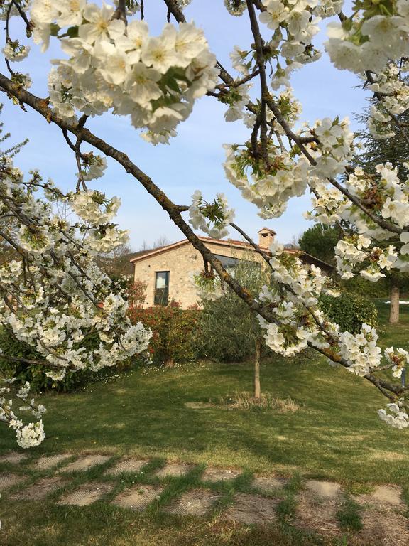 Agricola Caicucci Villa Montone  Luaran gambar