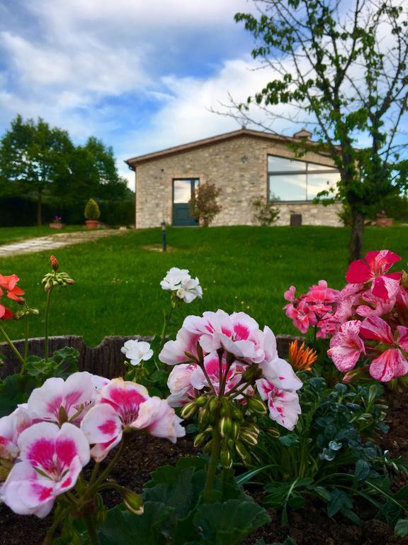 Agricola Caicucci Villa Montone  Luaran gambar